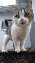Foto do Dia