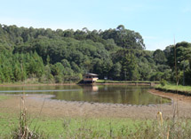 Lago no Clube dos Aliados está secando devido à falta de chuva na região. Foto Erci Bohrer.