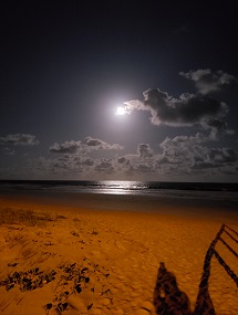 Foto do Dia