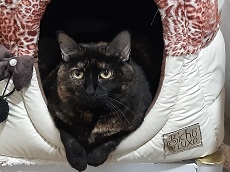 Anita, hora de dormir.