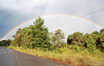 Na estrada entre Caçador e Porto União. Foto Márcio Cordeiro.