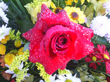 Arranjo de flores. Câmara Municipal de Vereadores. Foto Sérgio Moreira.