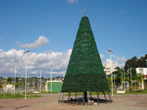 Árvore de Natal sendo instalada no Parque Central. Foto Murilo Roso.