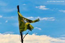 Foto Alan Carlos Arrais.