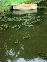 Foto Erci Bohrer.