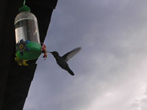 Foto Rafael Cuccarolo.