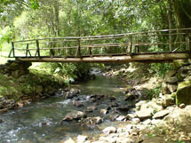 "caminhada Matos Costa". Foto enviada por Eliete C. D´Agostini.