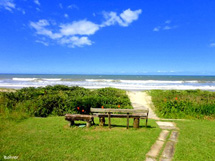 "Caminho que leva à praia". Foto Erci Bohrer.
