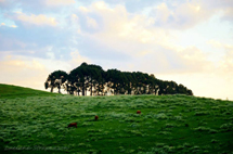 Foto Luciana Strapazzon.