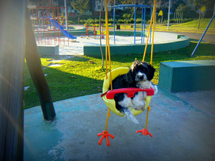 No Parque Central. Foto de Neudete Branco.