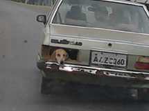 Foto enviada por Willyan Moreira.