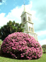 Catedral São Francisco de Assis. Caçador. Foto Murilo Roso.