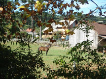 Paisagem