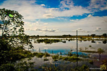 Foto Alan Carlos Arrais.