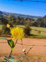 Foto: Davi Soares.