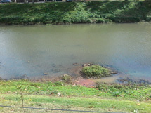 Foto do Rio do Peixe, tirada do Parque Central, mostrando o descaso da população com o meio ambiente. Enviada por Adalberto Gomes Ribeiro.
