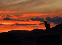 Foto Joi Bianchin.