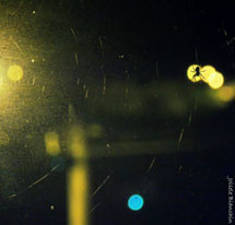 Foto Joi Bianchin.