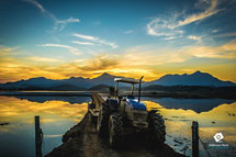 Entardecer nos Arrozais de Guaramirim. Foto: Jefferson Rech