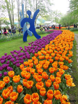 Parque de Keukenhof em Amsterdam. Foto Erci Bohrer.