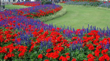 Jardim. Foto Erci Bohrer.