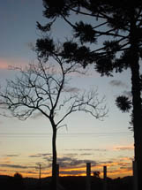 Por do sol em Caçador. Foto Erci Boher. Jan 2009.