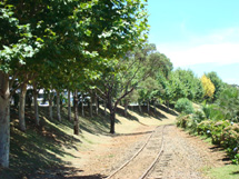 Belas imagens de Caçador. Foto Erci Boher. Fev 2009.