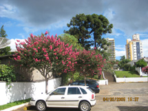 Flores no estacionamento do Banco Itaú. Foto Olmiro Sulzbach. Fev 2009.