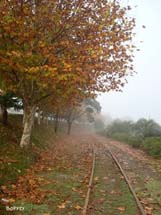Manhã de outono. Foto Erci Bohrer.