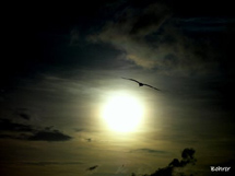 Fim de tarde. Foto Erci Bohrer.