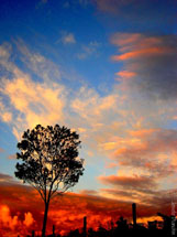 "Num final de tarde em Caçador". Foto Joi Bianchin.