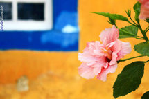 Foto Joi Bianchin.