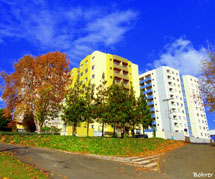 Paisagem. Foto Erci Bohrer