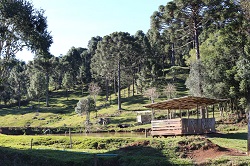 Interior de Caçador