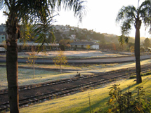 Geada: Foto tirada em maio de 2008 na área onde está sendo construído do Parque Central. Eva Maria Aracheski.