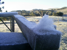 Foto geada na área rural de Lebon Régis. Cristyan Pierdoná.
