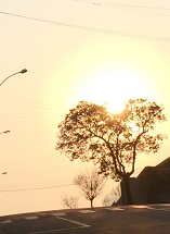 Sol nascente em Caçador SC