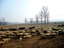 Morimondo, Itália. Foto Eduardo Kmeliuskas
