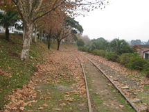Foto José França.
