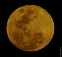 Foto Joi Bianchin.