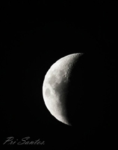 Foto Pricila Santos.