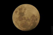 Foto Joi Bianchin.