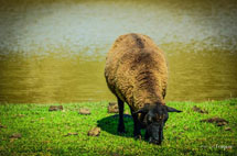 Foto: Márcio Fragoso.