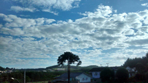 Foto Francieli Guete.