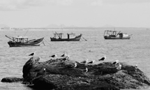 Foto: Natacha Carla de Paula.