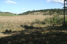 Paisagem da natureza em Calmon. Foto João Batista Ferreira dos Santos.