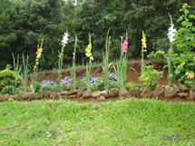 Foto Olivo Machado.