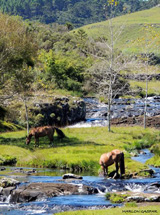 Paisagem serrana. Foto: Marlon Gaspar