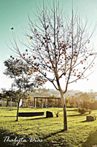 Foto Thabyta Dias.