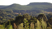 Paisagem em Caçador. Foto Klaus Hermann Fendt.